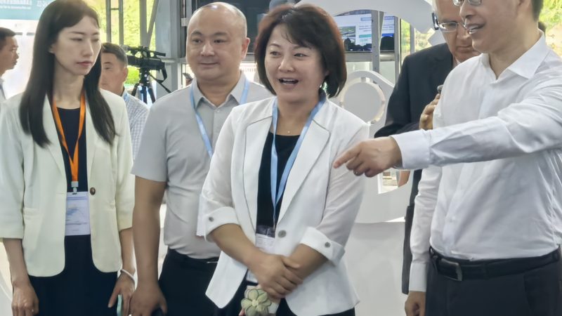 碳陶瓷刹车盘：揭秘材质分类与性能差异